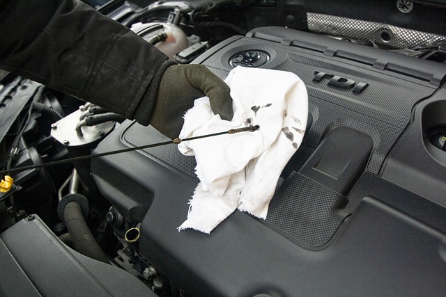 oil change Paso Robles